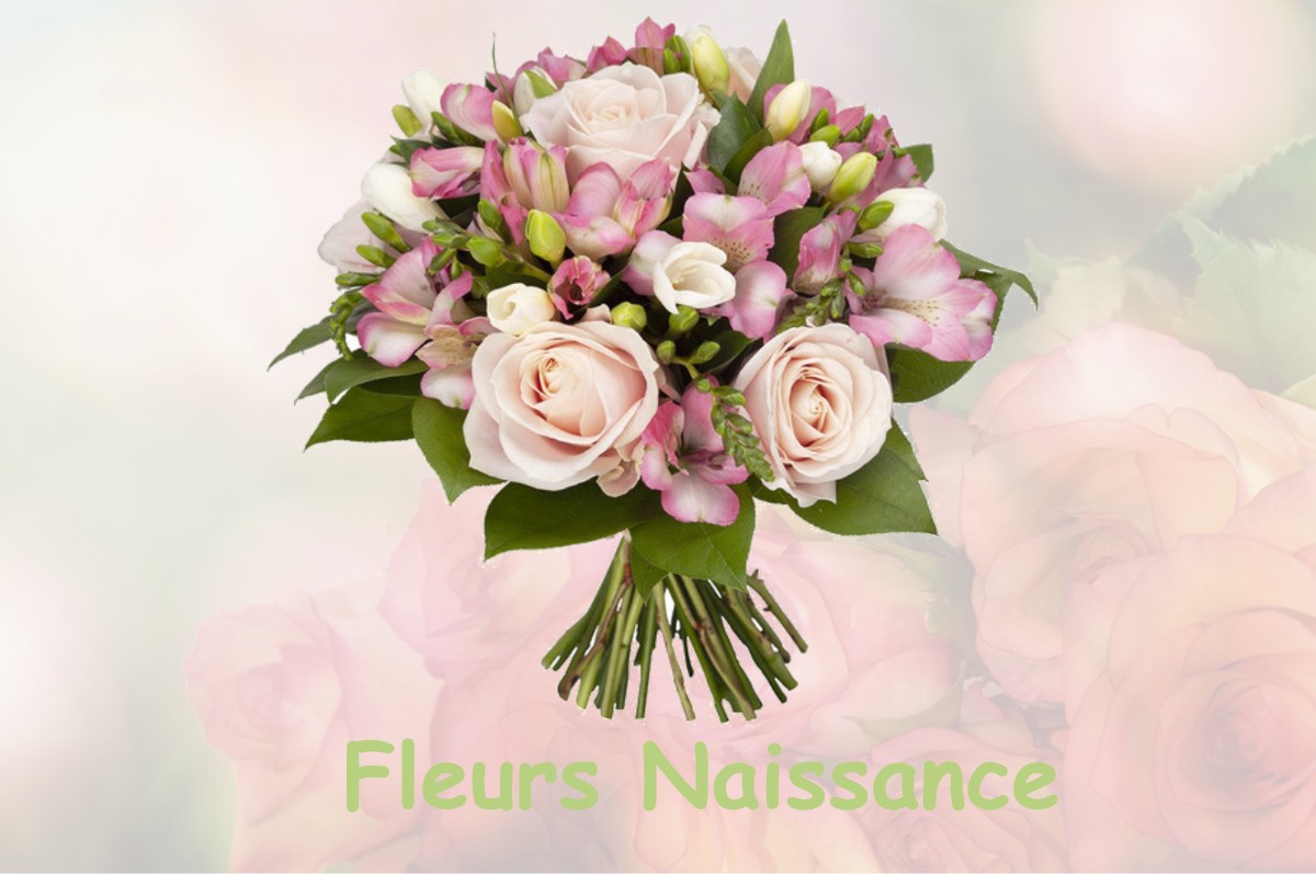 fleurs naissance CHAUME-LES-BAIGNEUX